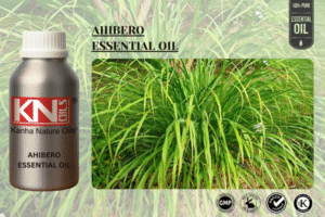 AHIBERO ESSENTIAL OIL