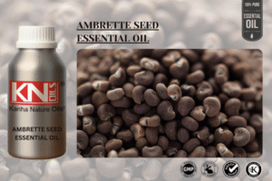 AMBRETTE SEED ESSENTIAL OIL