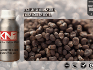 AMBRETTE SEED ESSENTIAL OIL