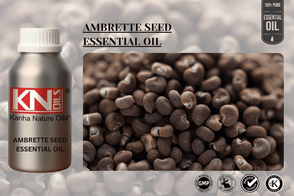 AMBRETTE SEED ESSENTIAL OIL