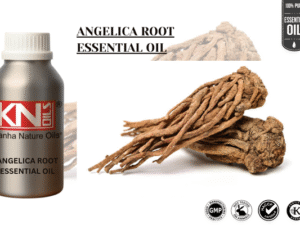 ANGELICA ROOT ESSENTIAL OIL