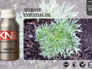 ARMOISE ESSENTIAL OIL