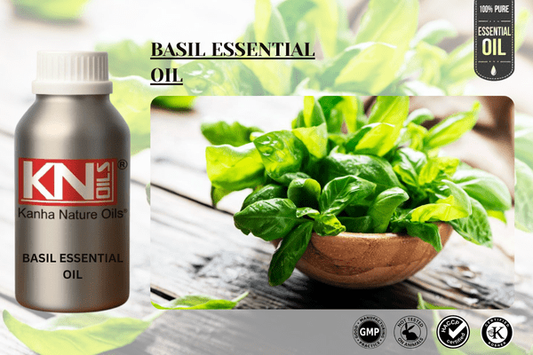 BASIL ESSENTIAL OIL