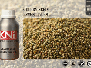 CELERY SEED ESSENTIAL OIL
