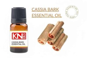 CASSIA BARK ESSENTIAL OIL