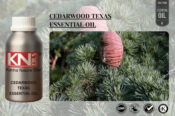 CEDARWOOD TEXAS ESSENTIAL OIL