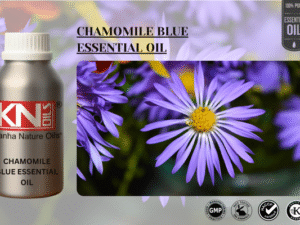 CHAMOMILE BLUE ESSENTIAL OIL