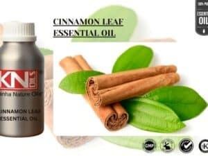 CINNAMON LEAF ESSENTIAL OIL