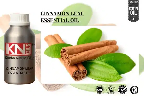 CINNAMON LEAF ESSENTIAL OIL