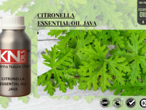 CITRONELLA ESSENTIAL OIL JAVA