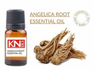 ANGELICA ROOT ESSENTIAL OIL