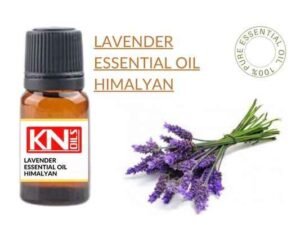 LAVENDER ESSENTIAL OIL HIMALYAN