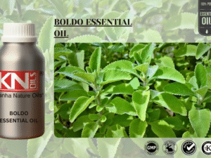 BOLDO ESSENTIAL OIL