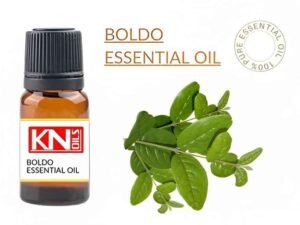 BOLDO ESSENTIAL OIL