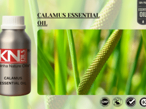 CALAMUS ESSENTIAL OIL