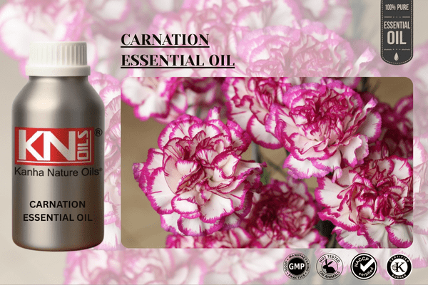 CARNATION ESSENTIAL OIL CARNATION ESSENTIAL OIL