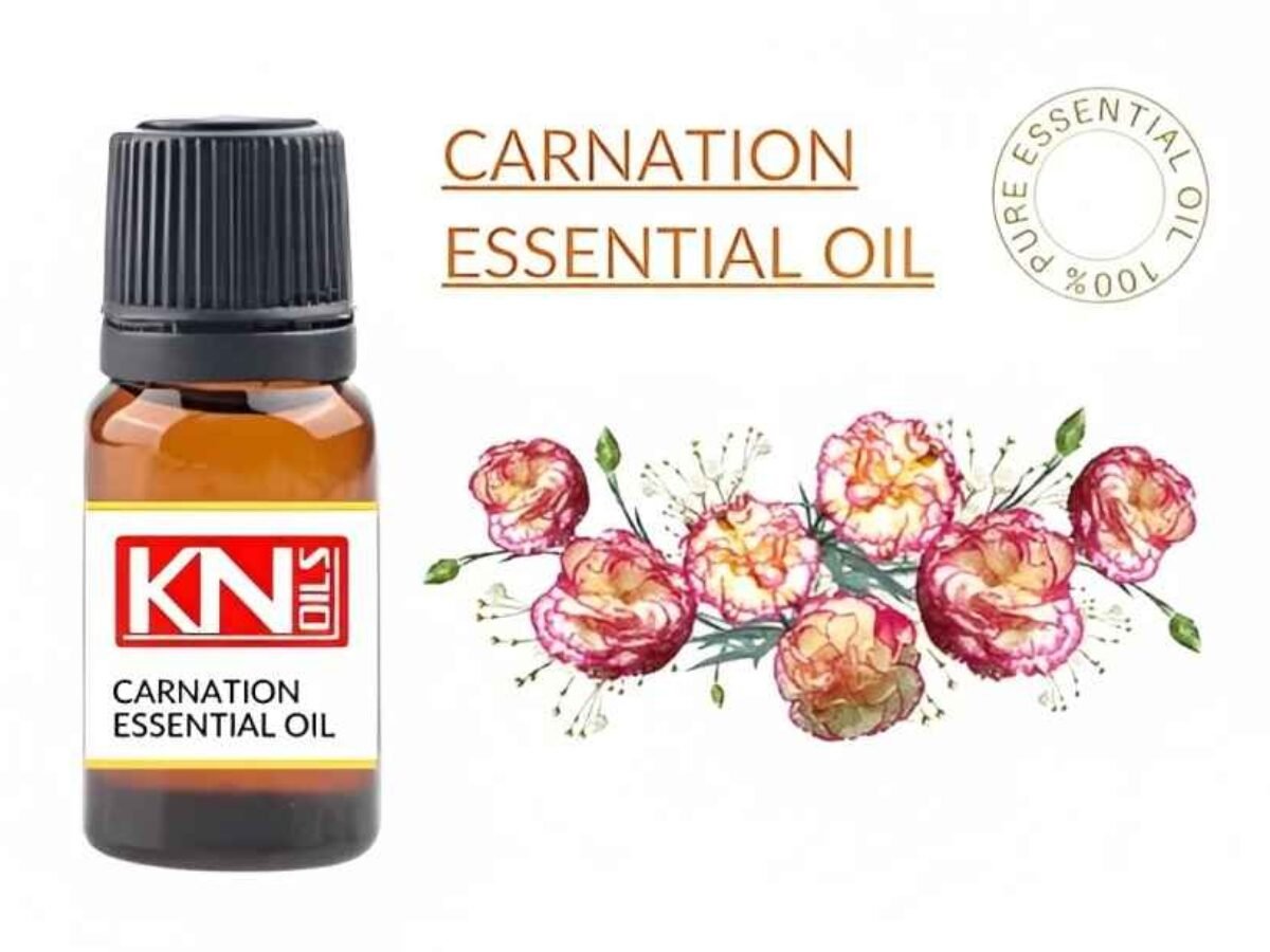 CARNATION ESSENTIAL OIL Buy 100 Pure ESSENTIAL OIL