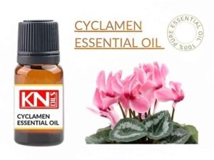 CYCLAMEN ESSENTIAL OIL