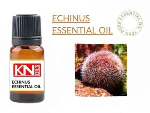 ECHINUS ESSENTIAL OIL