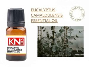 EUCALYPTUS CAMALDULENSIS ESSENTIAL OIL