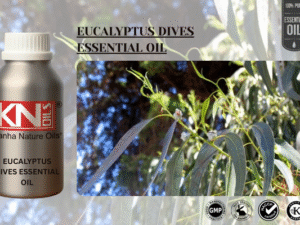 EUCALYPTUS DIVES ESSENTIAL OIL