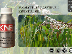 EUCALYPTUS MACARTHURII ESSENTIAL OIL
