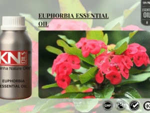 EUPHORBIA ESSENTIAL OIL