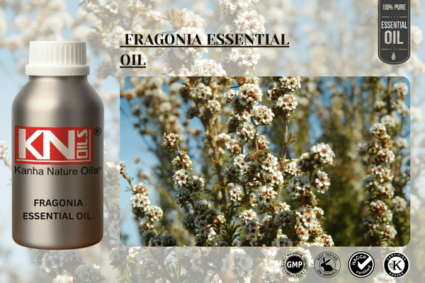 FRAGONIA ESSENTIAL OIL