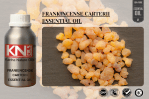 FRANKINCENSE CARTERII ESSENTIAL OIL
