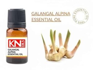 GALANGAL ALPINA ESSENTIAL OIL