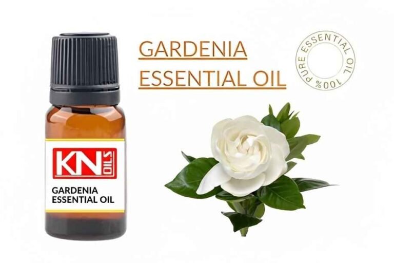 GARDENIA ESSENTIAL OIL Buy 100 Pure & ESSENTIAL OIL from India