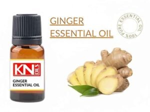 GINGER ESSENTIAL OIL