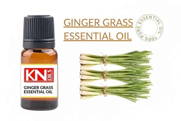 GINGER GRASS ESSENTIAL OIL