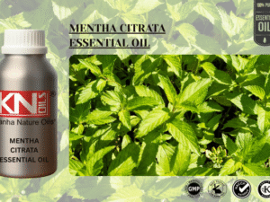 MENTHA CITRATA ESSENTIAL OIL