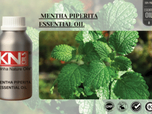 MENTHA PIPERITA ESSENTIAL OIL