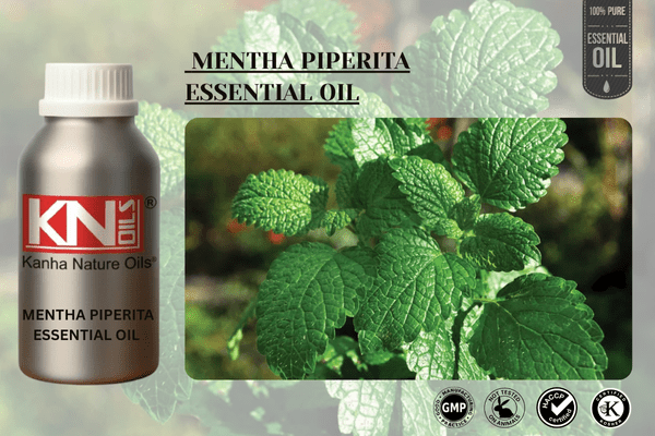 MENTHA PIPERITA ESSENTIAL OIL