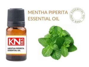 MENTHA PIPERITA ESSENTIAL OIL