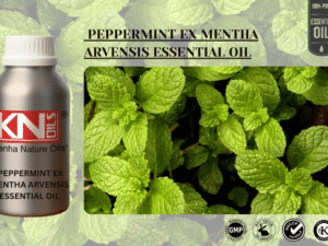 PEPPERMINT EX MENTHA ARVENSIS ESSENTIAL OIL