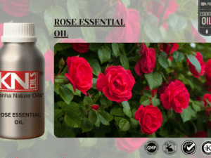 Rose Essential Oil