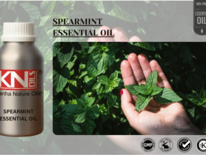 SPEARMINT ESSENTIAL OIL