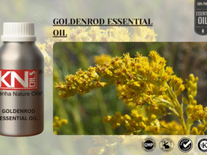 GOLDENROD ESSENTIAL OIL