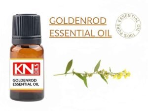 GOLDENROD ESSENTIAL OIL