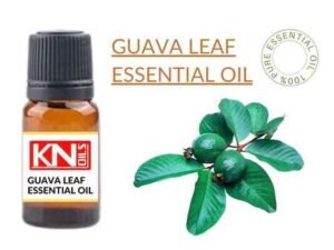 GUAVA LEAF ESSENTIAL OIL