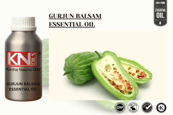 GURJUN BALSAM ESSENTIAL OIL