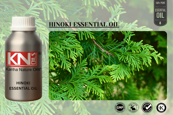 HINOKI ESSENTIAL OIL
