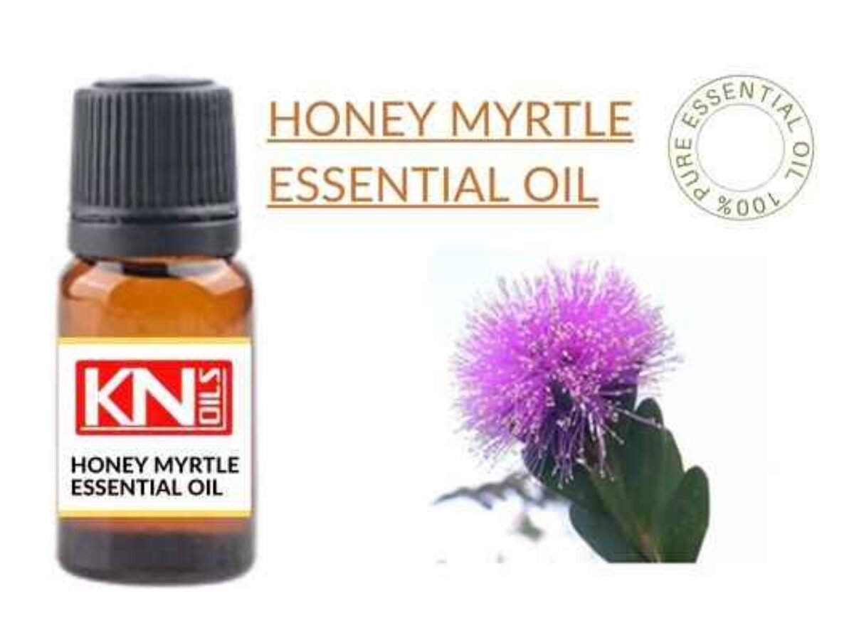 Honey Myrttle Essential Oil