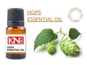 HOPS ESSENTIAL OIL