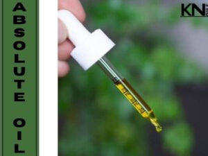 ABSOLUTE OILS