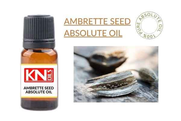 AMBRETTE SEED ABSOLUTE OIL
