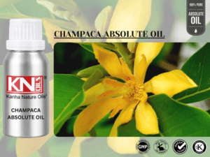 CHAMPACA ABSOLUTE OIL